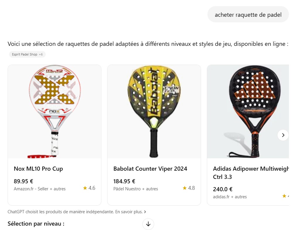 Chat GPT Shopping Display Example